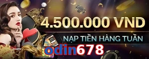 odin678