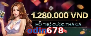 odin678