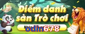 odin678